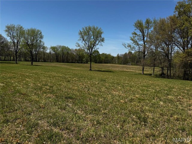12503 County Road 292, Bloomfield, MO 63825 - view of green lawn with a wooded view