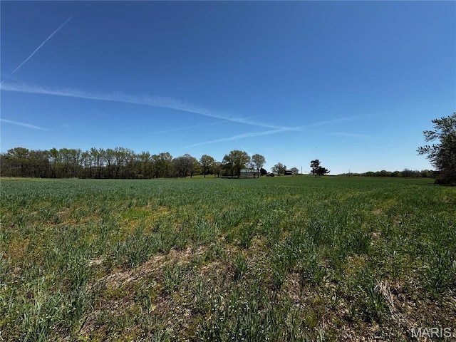 12503 County Road 292, Bloomfield, MO 63825 - view of nature featuring rural landscape