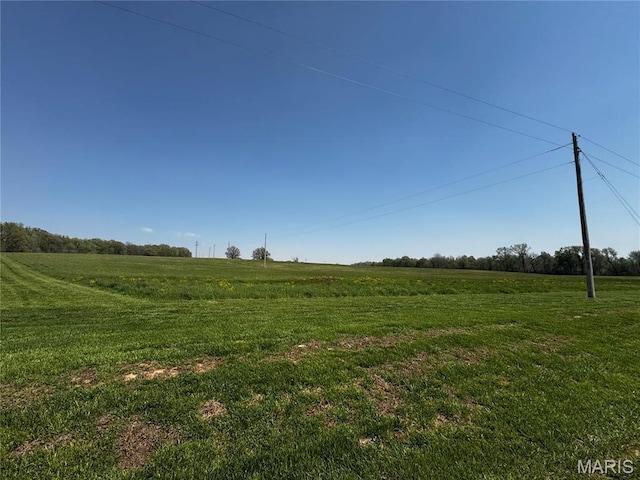 12503 County Road 292, Bloomfield, MO 63825 - view of undeveloped land with rural landscape