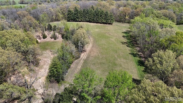 12503 County Road 292, Bloomfield, MO 63825 - aerial view
