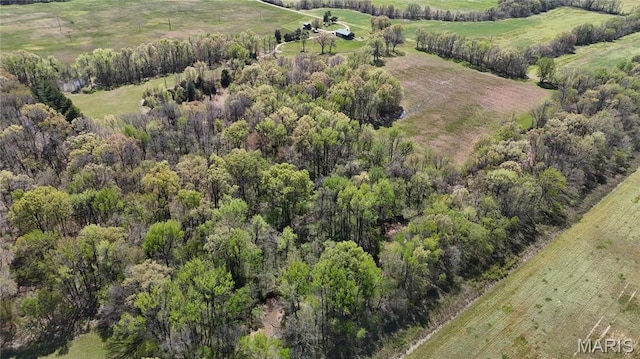 12503 County Road 292, Bloomfield, MO 63825 - aerial view of property and surrounding area featuring rural landscape