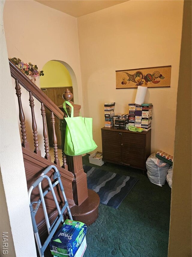 313 Fillmore St, Saint Louis, MO 63111 - photo 8