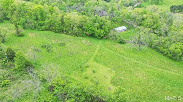 bird's eye view