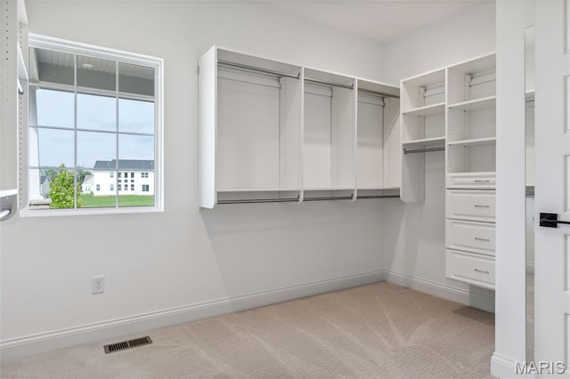 973 Tara Ct, Chesterfield, MO 63005 - walk in closet with light colored carpet