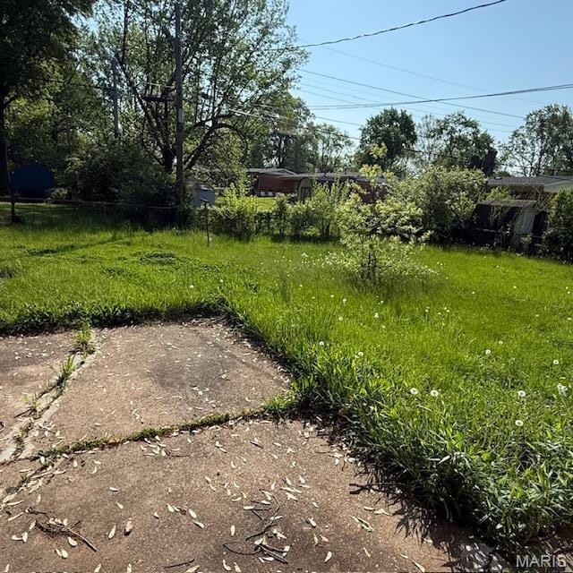 9732 Glen Owen Dr, Saint Louis, MO 63136 - view of yard