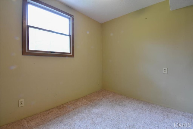 unfurnished room featuring carpet