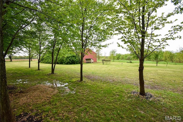 view of grassy yard featuring an outbuilding