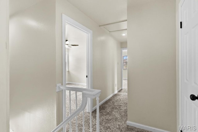 625 Pinebrook Dr, Town And Country, MO 63017 - hallway with attic access, baseboards, and carpet