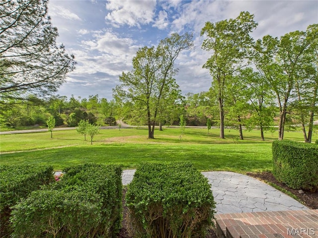 262 Woodland Hill Rd, Poplar Bluff, MO 63901 - view of home's community featuring a lawn