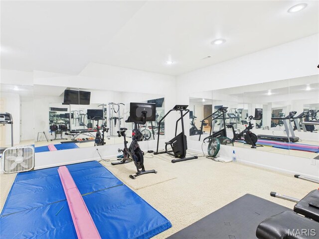 262 Woodland Hill Rd, Poplar Bluff, MO 63901 - workout area featuring recessed lighting