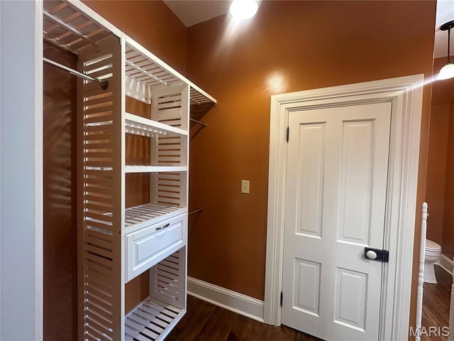 spacious closet featuring dark wood-style flooring