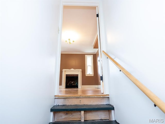 221 N 6th, Hannibal, MO 63401 - photo 74