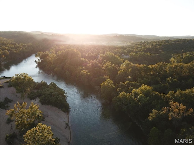 1 Richbark Ln, Van Buren, MO 63965 - aerial view of a large body of water and a heavily wooded area