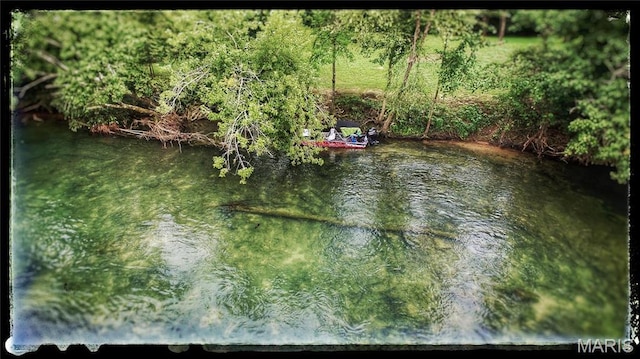 1 Richbark Ln, Van Buren, MO 63965 - water view