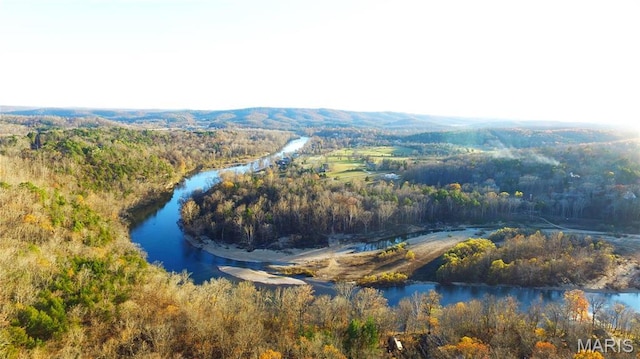 1 Richbark Ln, Van Buren, MO 63965 - bird's eye view of a nearby body of water and a forest