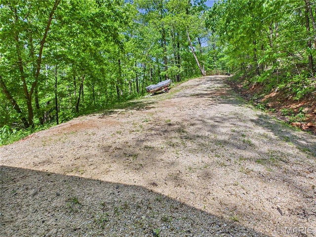 1 Richbark Ln, Van Buren, MO 63965 - view of yard featuring a forest view