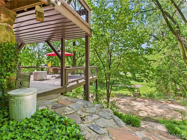 1 Richbark Ln, Van Buren, MO 63965 - view of yard featuring a wooden deck