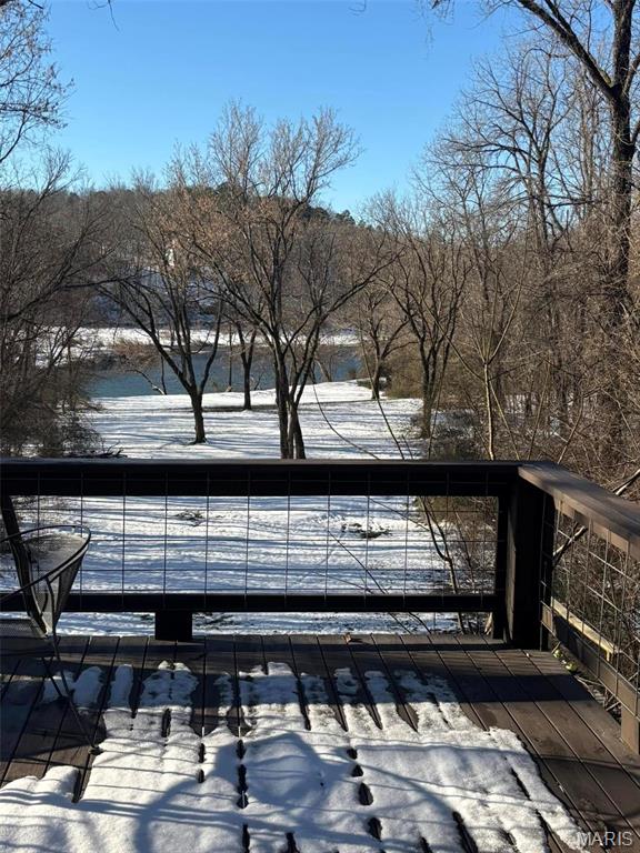 1 Richbark Ln, Van Buren, MO 63965 - view of snow covered deck