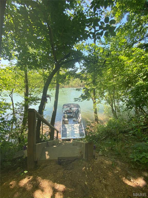 1 Richbark Ln, Van Buren, MO 63965 - dock area with a water view