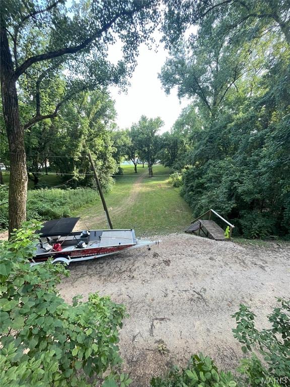 1 Richbark Ln, Van Buren, MO 63965 - view of yard