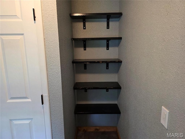 306 Edna Ln, Sparta, IL 62286 - view of closet