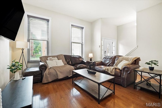 living room with hardwood / wood-style floors