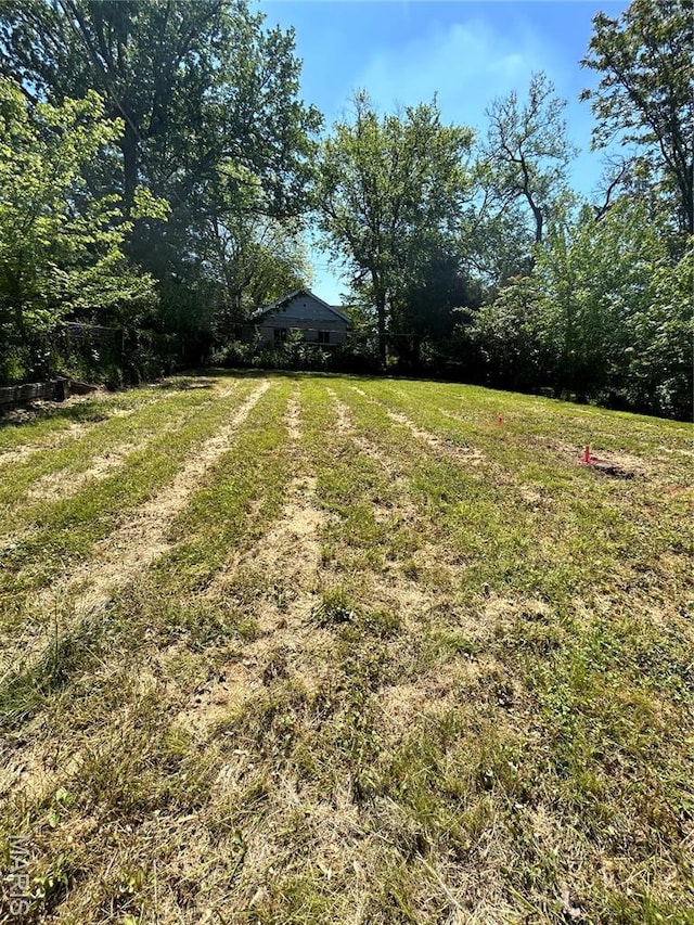 3604 Ridgedale Ave, Saint Louis, MO 63121 - view of yard featuring driveway