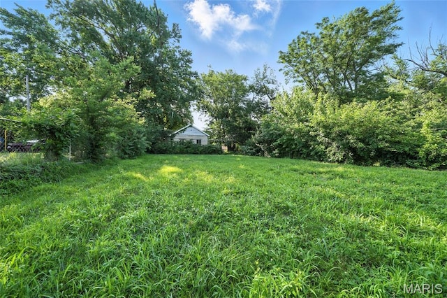 3604 Ridgedale Ave, Saint Louis, MO 63121 - view of yard