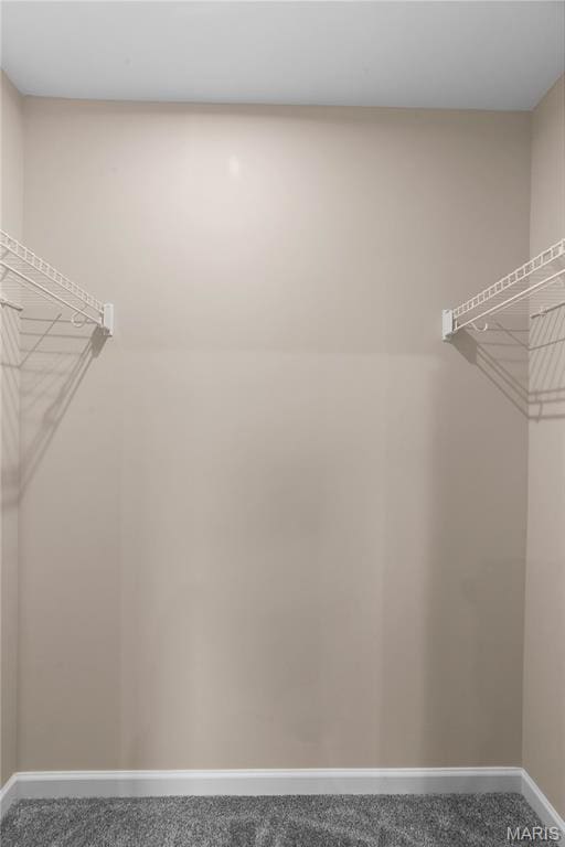 317 Newbridge Way, Ofallon, MO 63368 - view of spacious closet