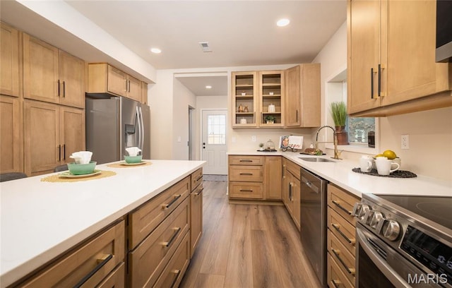 204 S 3rd St, De Soto, MO 63020 - kitchen with a sink, stainless steel appliances, wood finished floors, light countertops, and glass insert cabinets