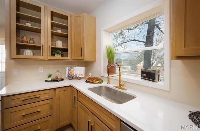 204 S 3rd St, De Soto, MO 63020 - kitchen with a sink, light countertops, and glass insert cabinets