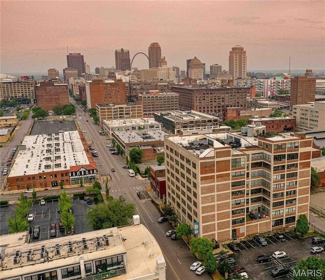 2020 Washington Ave Unit 713, Saint Louis, MO 63103 - city view