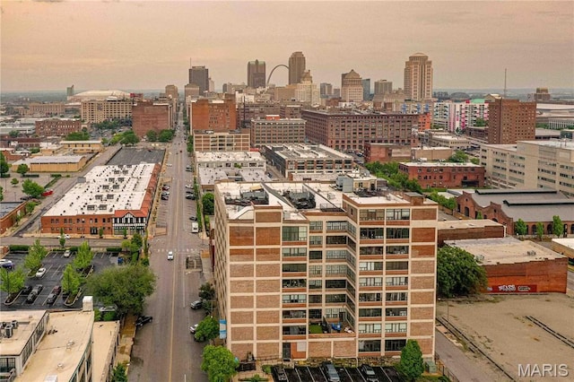 2020 Washington Ave Unit 713, Saint Louis, MO 63103 - aerial view at dusk of a city view