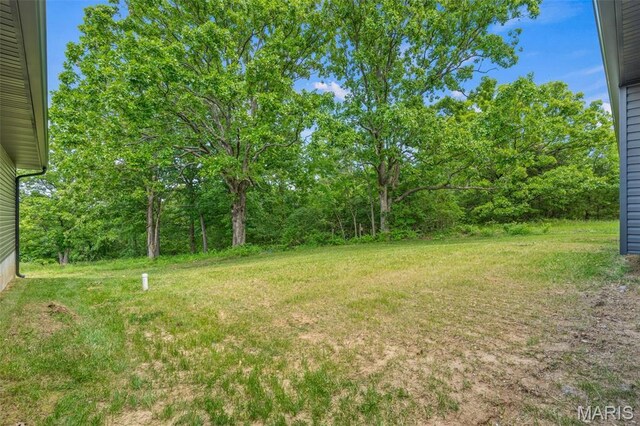 1617 Woods Creek Rd, Robertsville, MO 63072 - photo 43
