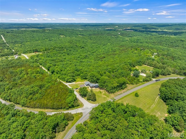 1617 Woods Creek Rd, Robertsville, MO 63072 - photo 47