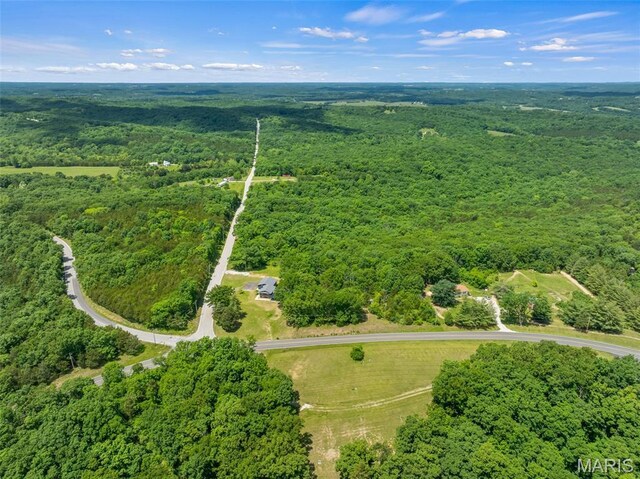 1617 Woods Creek Rd, Robertsville, MO 63072 - photo 48
