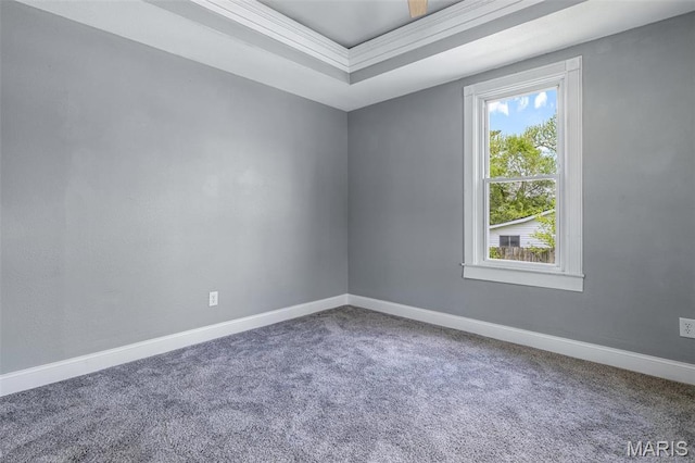 608 W Main St, Park Hills, MO 63601 - carpeted spare room featuring baseboards and a tray ceiling
