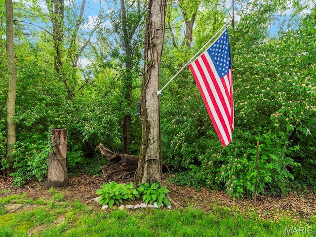 2700 Woods Way, Belleville, IL 62221 - view of yard