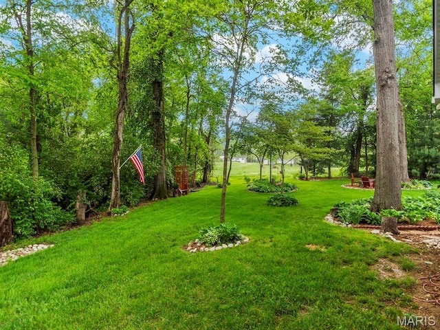2700 Woods Way, Belleville, IL 62221 - view of green lawn