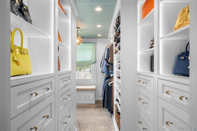 20 Picardy Ln, Ladue, MO 63124 - walk in closet featuring light floors