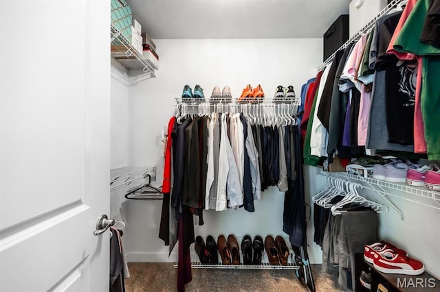 9722 Quapaw Ct, Mascoutah, IL 62258 - spacious closet with carpet