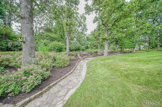12030 Country Club Dr, Rolla, MO 65401 - photo 67