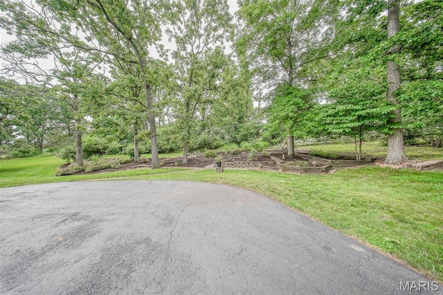 12030 Country Club Dr, Rolla, MO 65401 - photo 75
