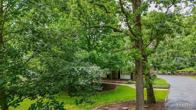12030 Country Club Dr, Rolla, MO 65401 - photo 50