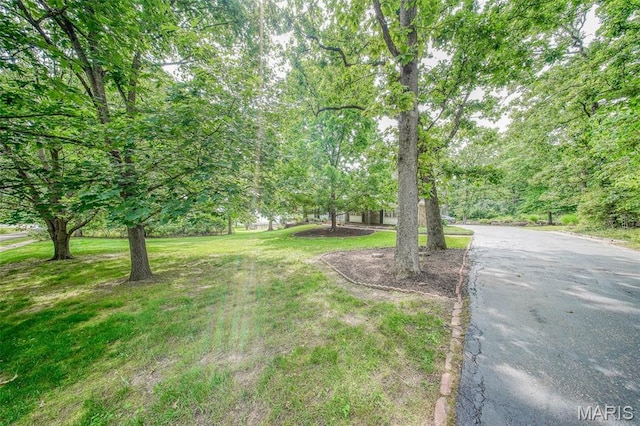 12030 Country Club Dr, Rolla, MO 65401 - photo 52