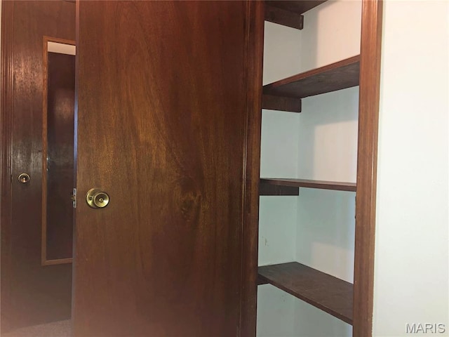 603 W Bloomfield Ave, Bloomfield, MO 63825 - view of closet