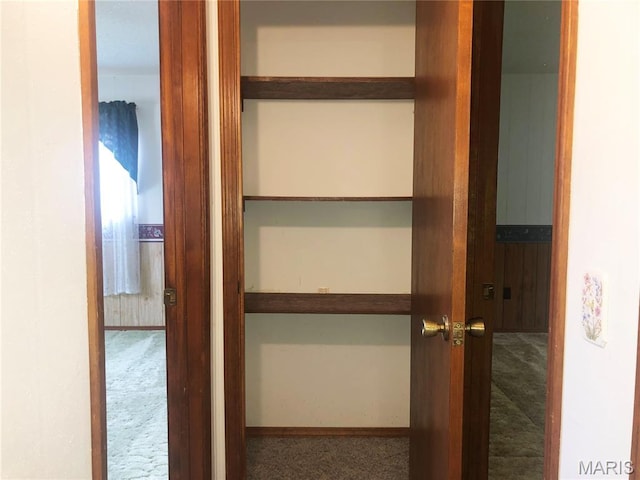 603 W Bloomfield Ave, Bloomfield, MO 63825 - view of closet