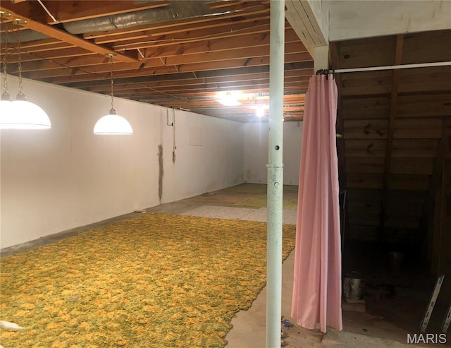 603 W Bloomfield Ave, Bloomfield, MO 63825 - view of below grade area