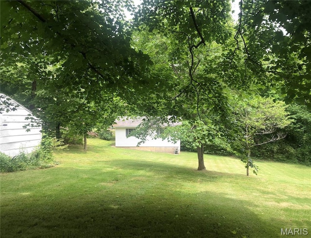 603 W Bloomfield Ave, Bloomfield, MO 63825 - view of green lawn