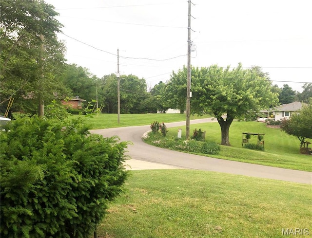 603 W Bloomfield Ave, Bloomfield, MO 63825 - view of community with a lawn and curved driveway